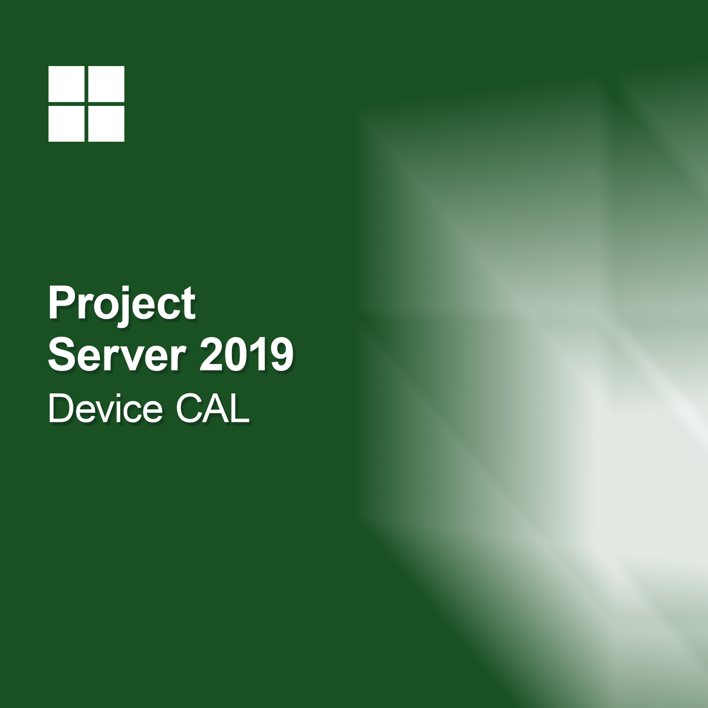Project Server 2019 -laitteen CAL