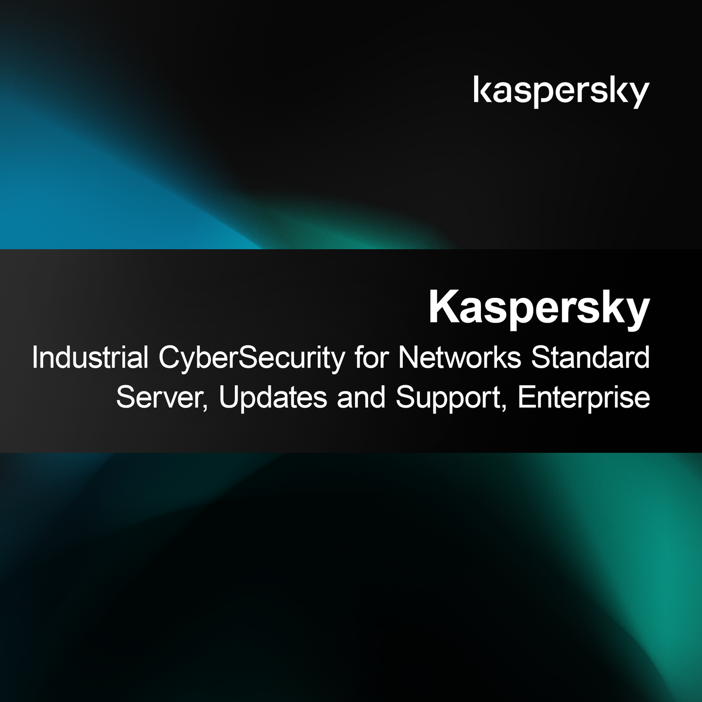 Kaspersky Industrial CyberSecurity for Networks Standard Server, Päivitykset ja Tuki, Enterprise